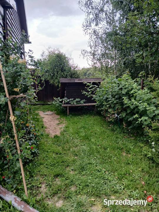 Sprzedam działkę na Mazurach Zachodnich woda Wólka Majdańska