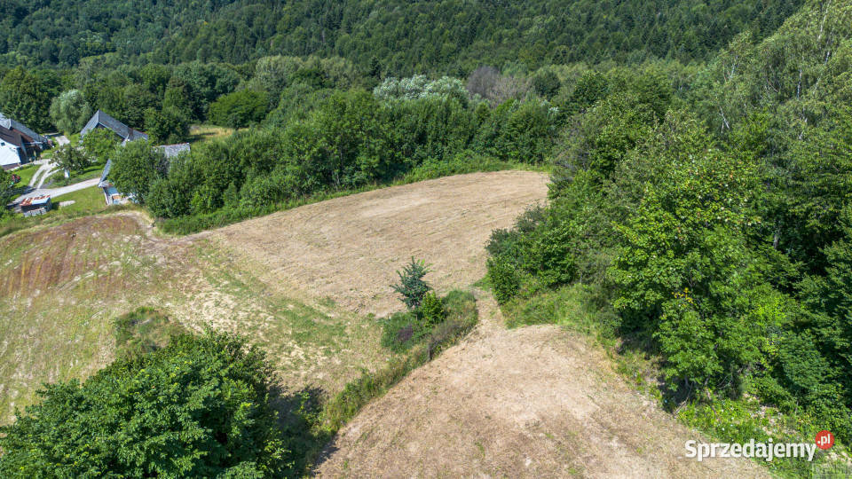Sprzedam działka 3671m2 Żarnówka os Grapa Sprzedaż
