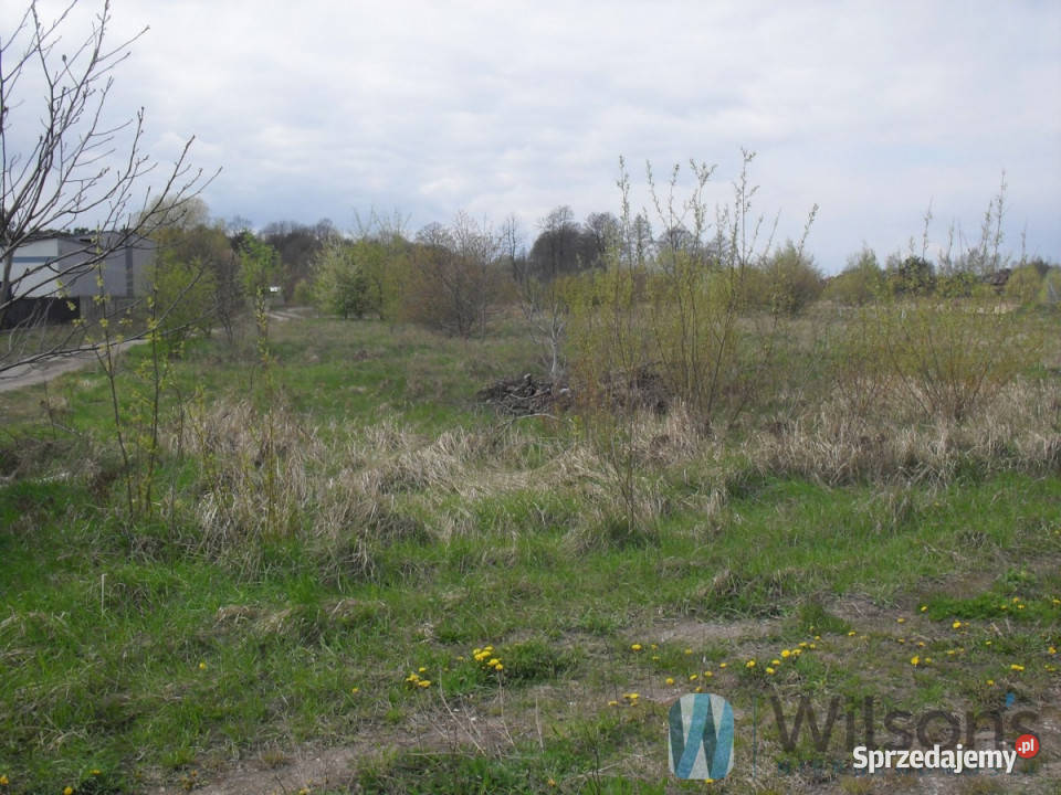 sprzedaży gruntu Radom 26000m2 asfalt