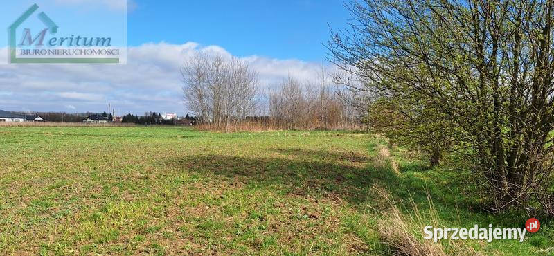 Działka 5244m2 Jedlicze Nieruchomości podkarpackie