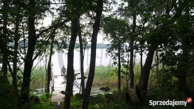 Działka rekreacyjna 3400m2 Trzebawie 3400m2 Trzebawie sprzedam