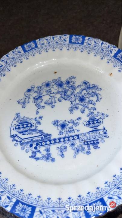 Mlecznik China Blau Niższy pomorskie Gdańsk