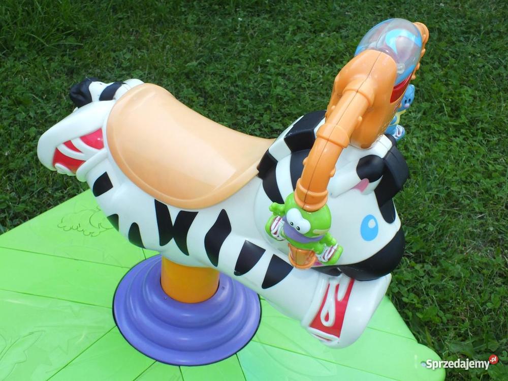 skoczek zebra fisher Krosno