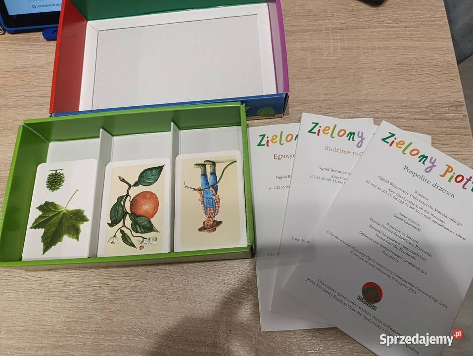 Gra karciana Zielony Piotruś Kwidzyn