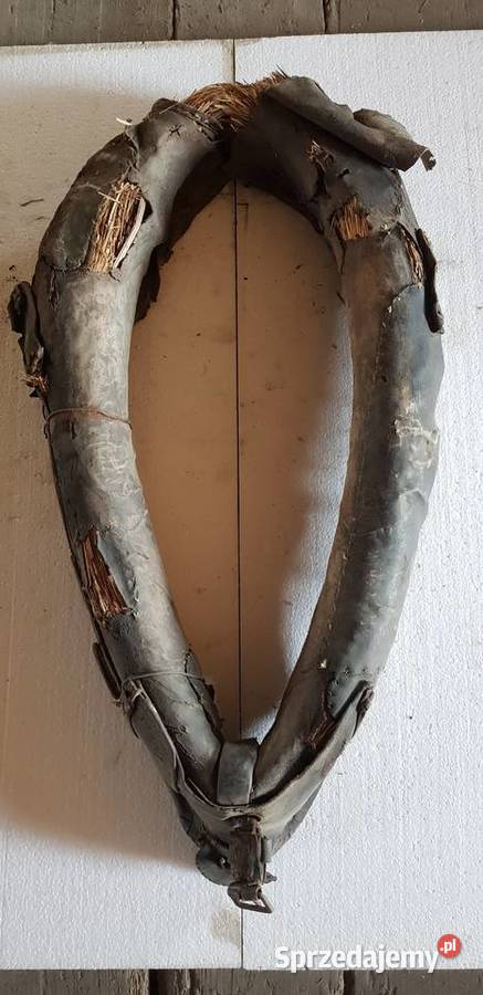 Homonto konia Pozostałe dolnośląskie