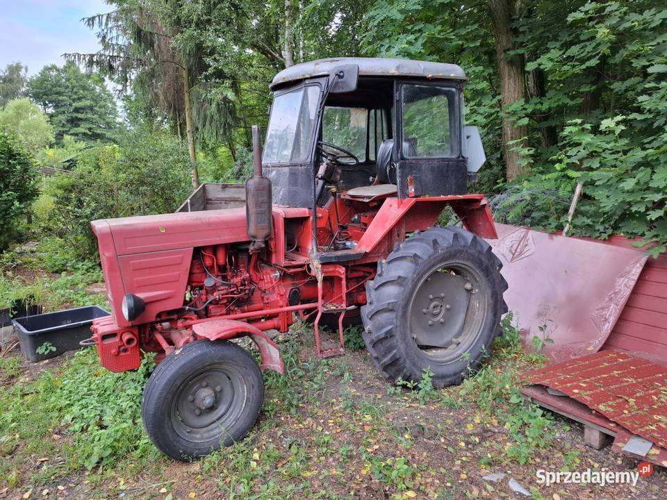 T25A2 Włoszczowa