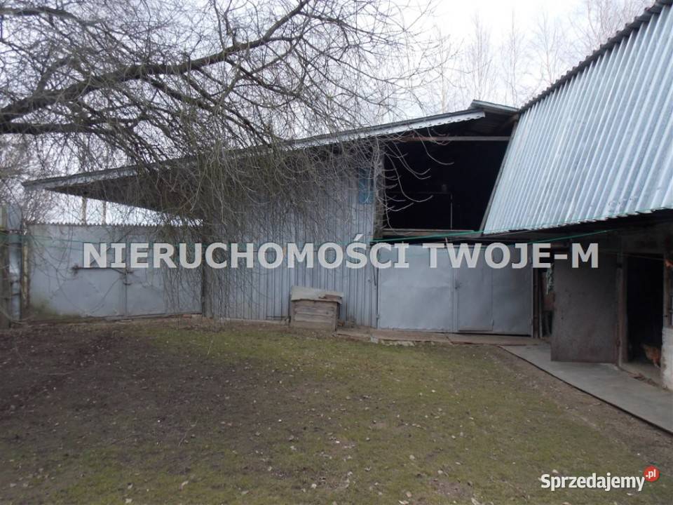 Dom 90m2 Bidziny
