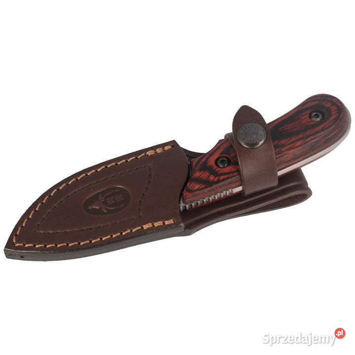 Nóż Muela Full Tang Pakkawood Satin X50CrMoV15 Warszawa