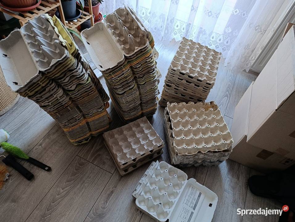 wytłaczanki pojemniki do jajek 161 sztuk sprzedam