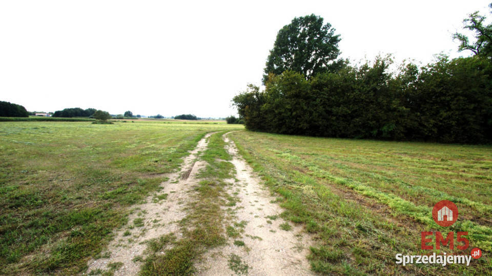 Lokal Jeńki 150m2 podlaskie