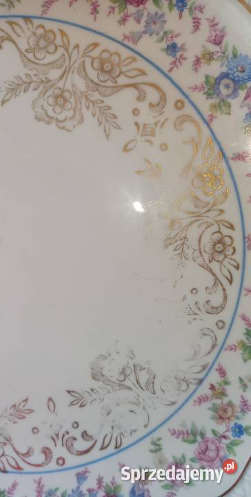 Patera Elfenbein Porzellan Bavaria W delikatnym pomorskie Gdańsk sprzedam