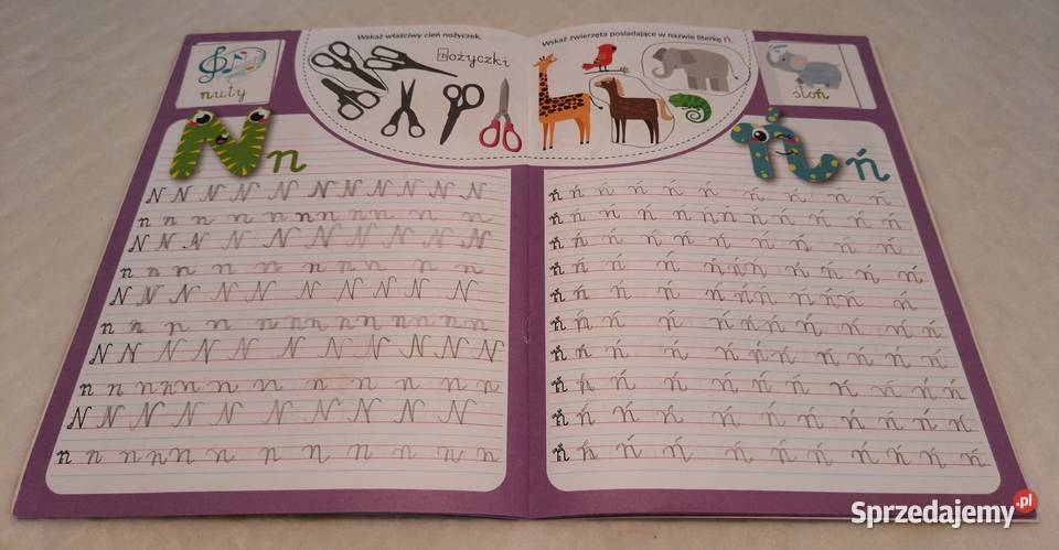 Kaligrafia Literki Martel Książeczki dzieci Książki dla dzieci Czeladź