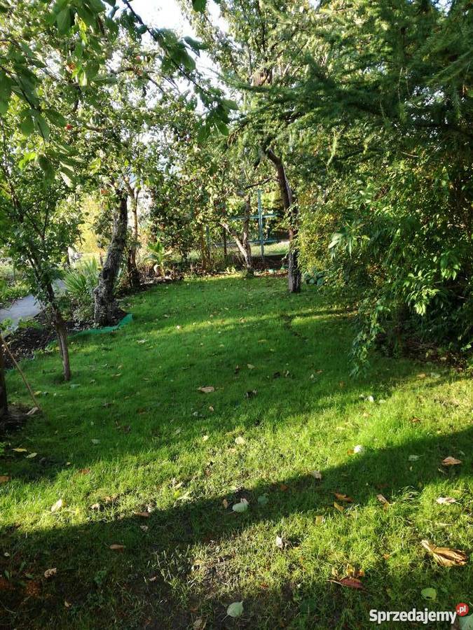 Działka ROD Relaks w Ełku