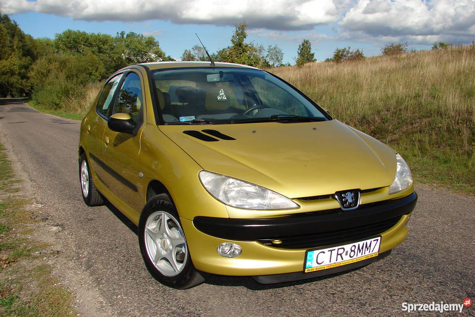 Peugeot 206 14 XLine Salon Polska 107000 ABS Steklin