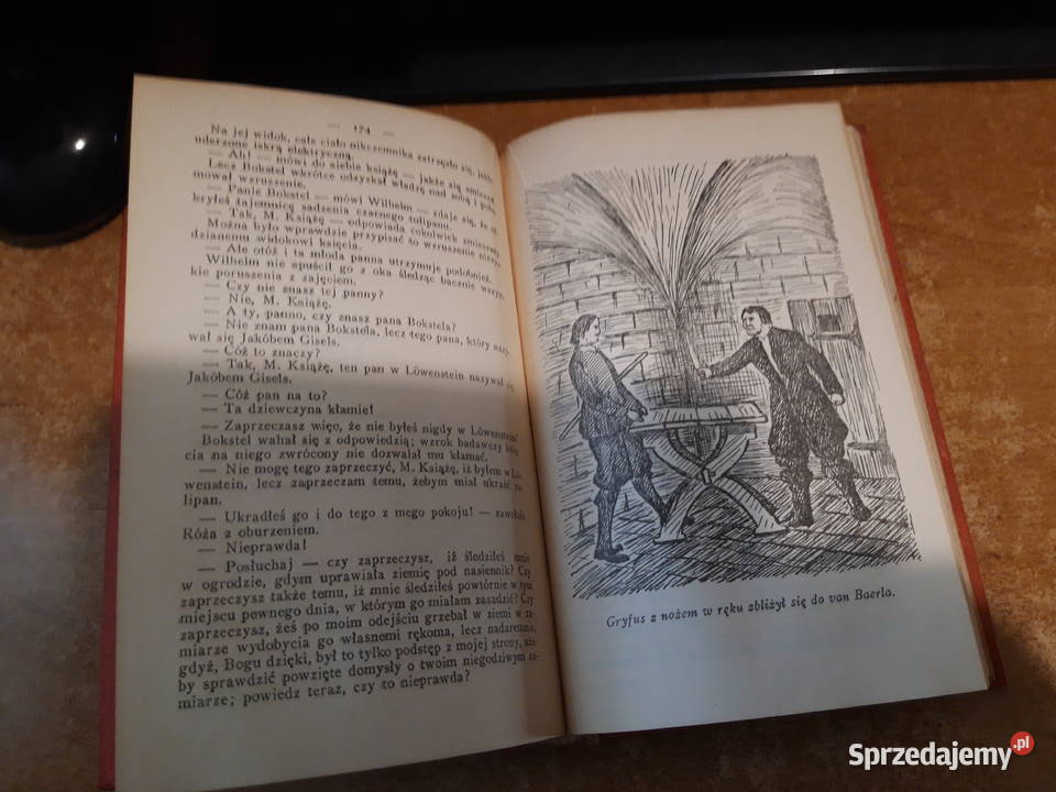 CZRNY TULIPAN DUMAS BIBLRODZINNA19928 OPR ilustr Iwno