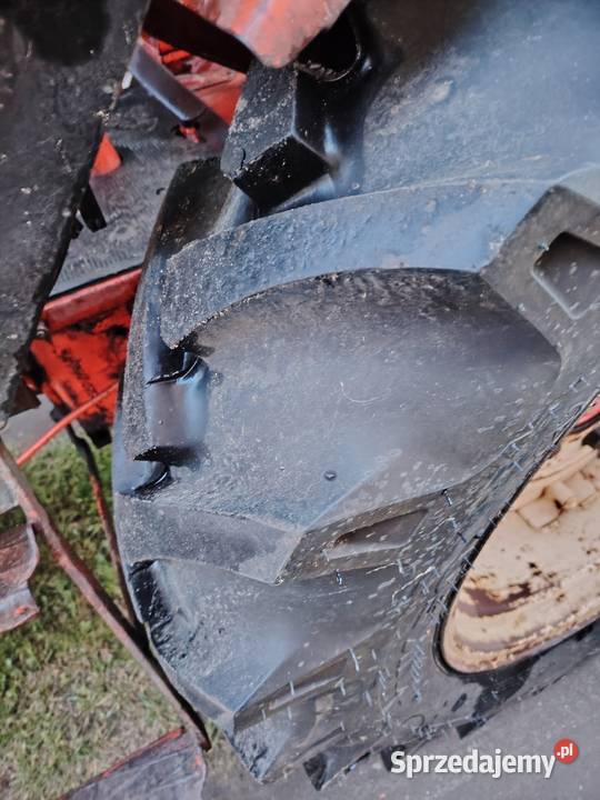 Władimirec T25 Rypin