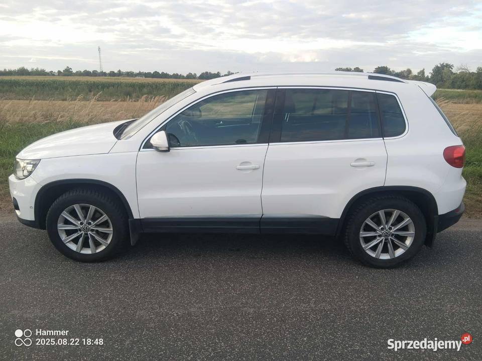 Volkswagen tiguan Pleszew