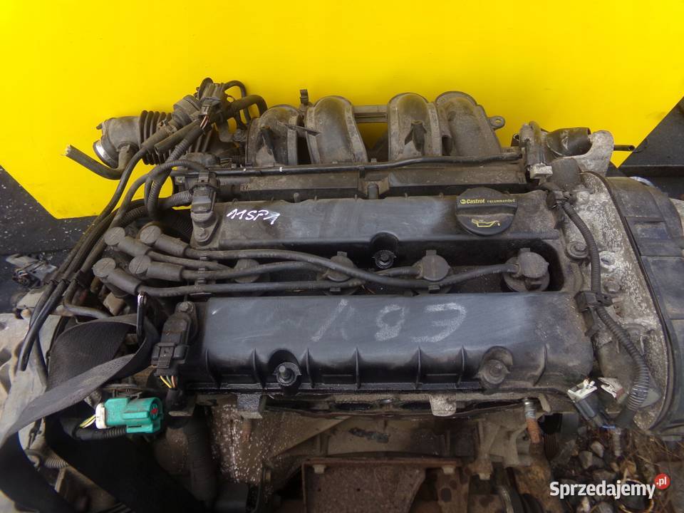 FORD FIESTA MK7 B 16 TiVCT 15r 105 silnik IQJA Suków