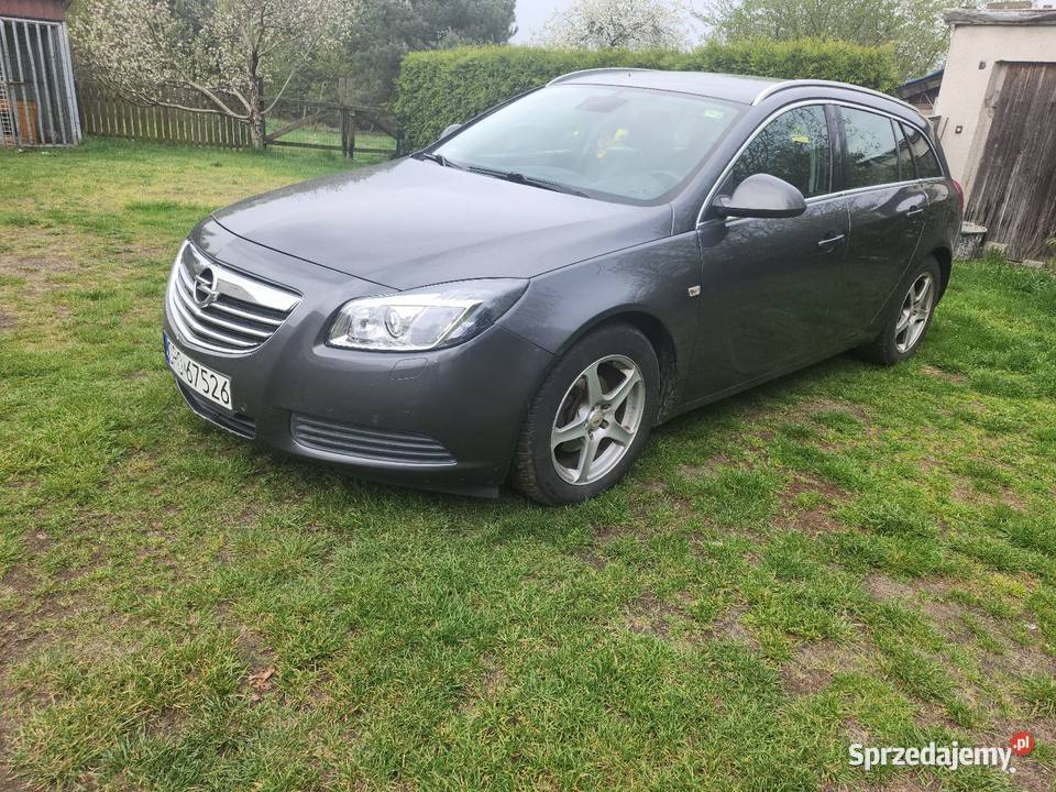 Opel Insignia 2009 20 diesel Grodziec