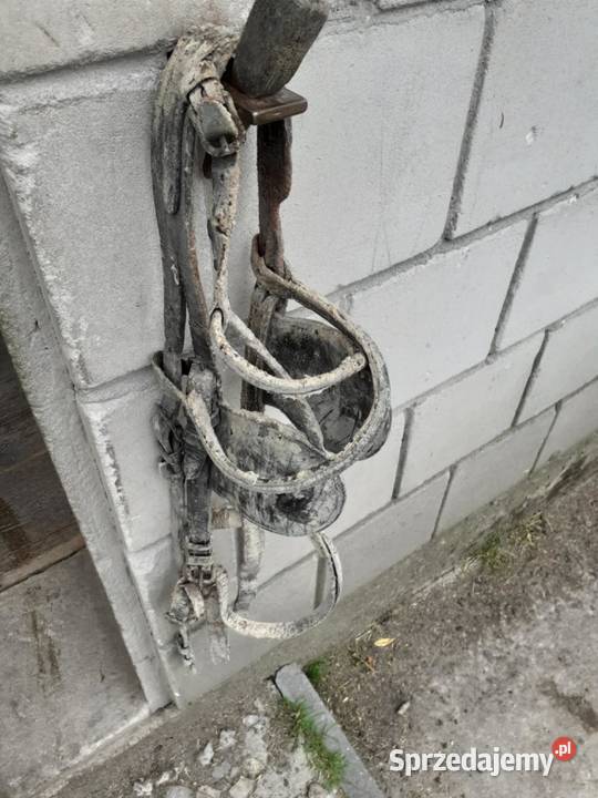 Uprzaz konia mazowieckie Stary Gózd