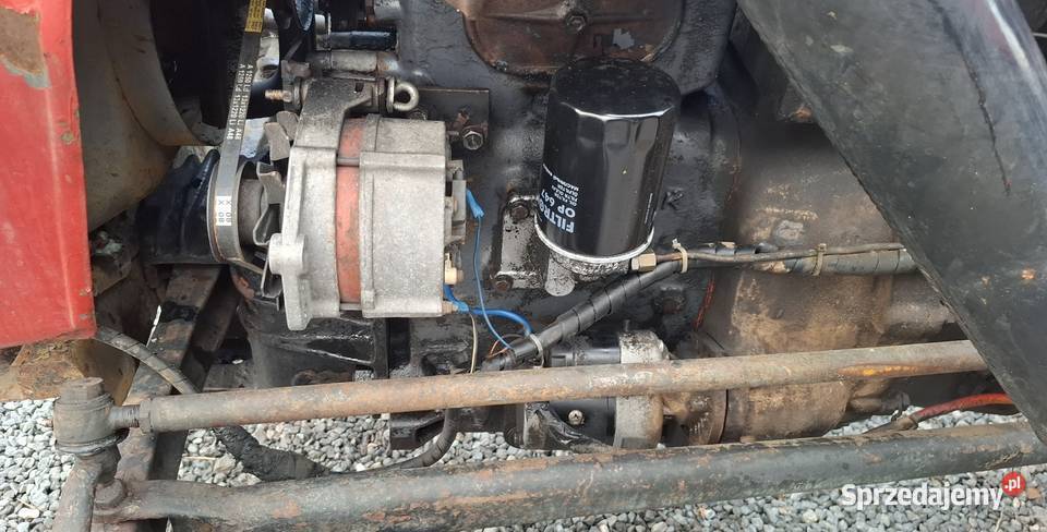 Sprzedam URSUS C328 świętokrzyskie Sandomierz