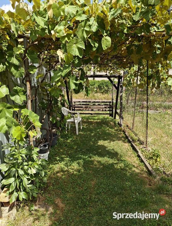 Tanie 3pokojowe mieszkanie bez czynszu idealne Sprzedaż Bierutów