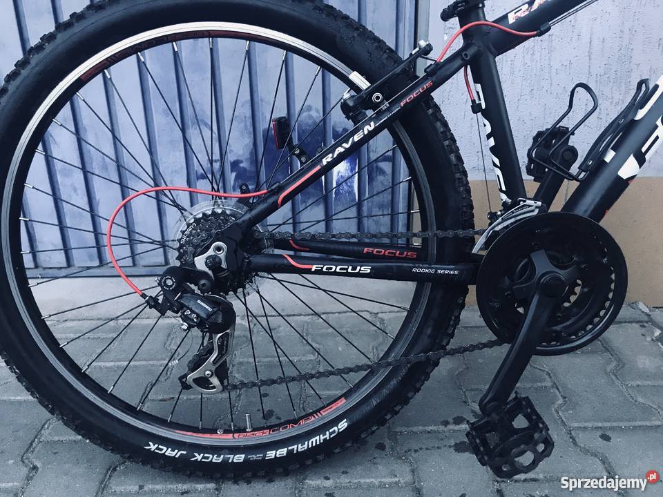 Rower górski FOCUS raven rookie Wrocław sprzedam