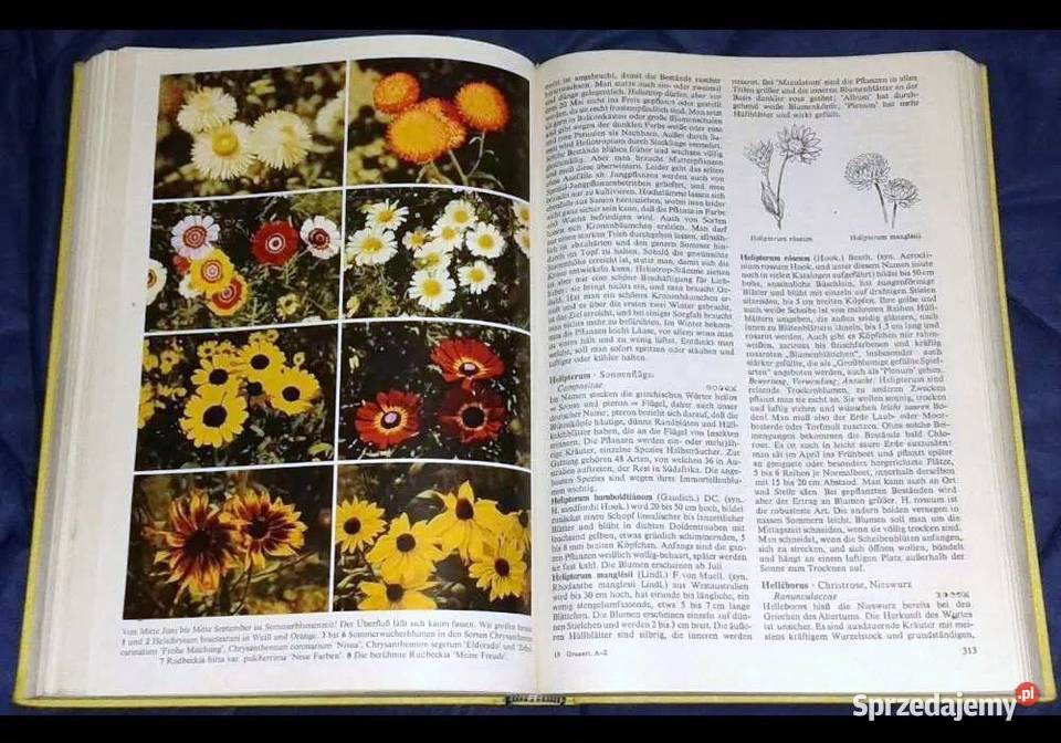 Gartenblumen von A bis Z Christian Grunert twarda sprzedam