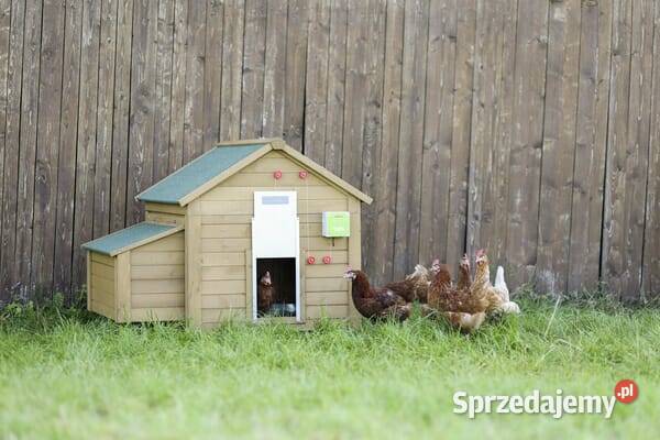 Automatyczne drzwi do kurnika 300x400 mm 70546 Pozostałe małopolskie Kamionna