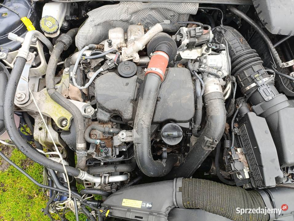 Silnik k9k 15 diesel Mercedes Renault Nissan Zamość