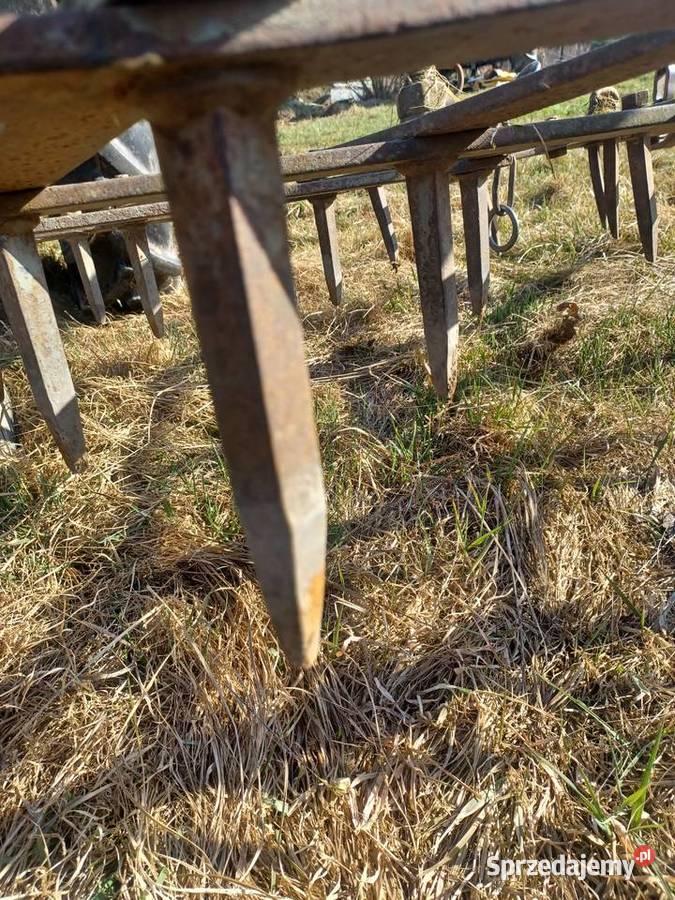 Brony polowe ciężkie Pozostałe Młynary