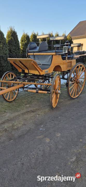 Bryczka konna Bodex Konin