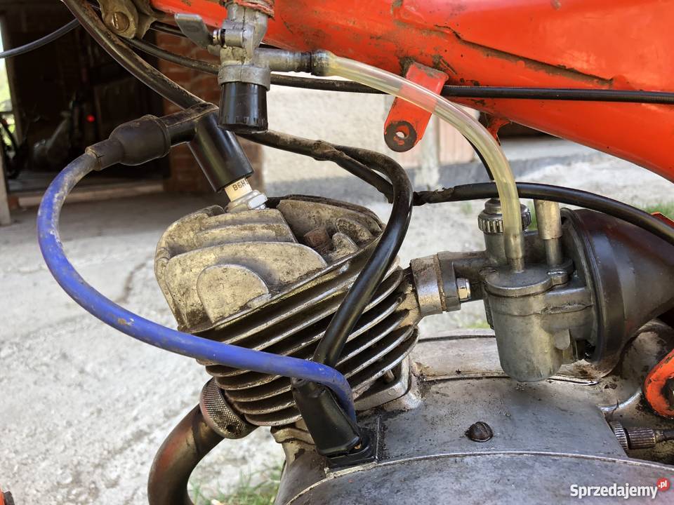 Komar sprawny 100 małopolskie Bochnia