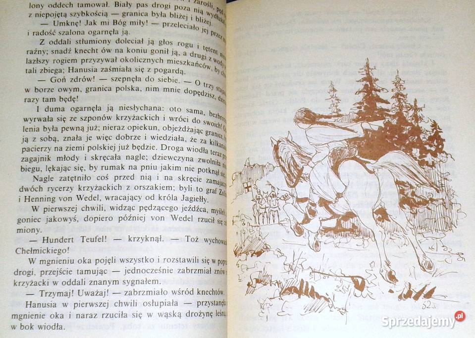 Straszne dziedzictwo Waleria SzalayGroele Kultura i Rozrywka Chełm sprzedam