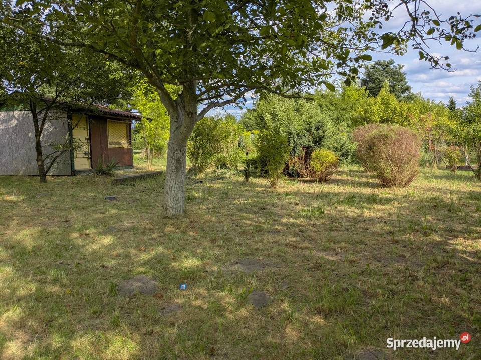 Działka ROD Rekreacyjna Malinka 1 Radom sprzedam
