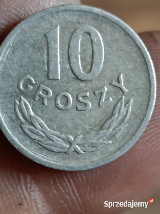 Sprzedam 10 gr 1966 zzm Chełm