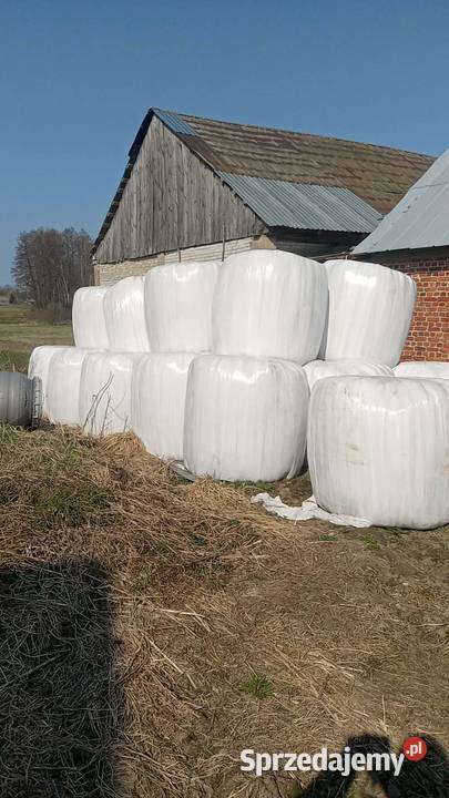 Sianokiszonka w belach 1 pokos Trawy, słoma