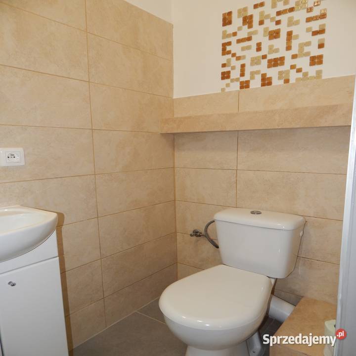 Mieszkanie do wynajęcia w Orzeszu papa Orzesze