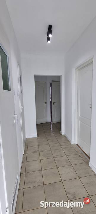 Mieszkanie 3 pokoje garderoba widne duża kuchnia sieć Końskie