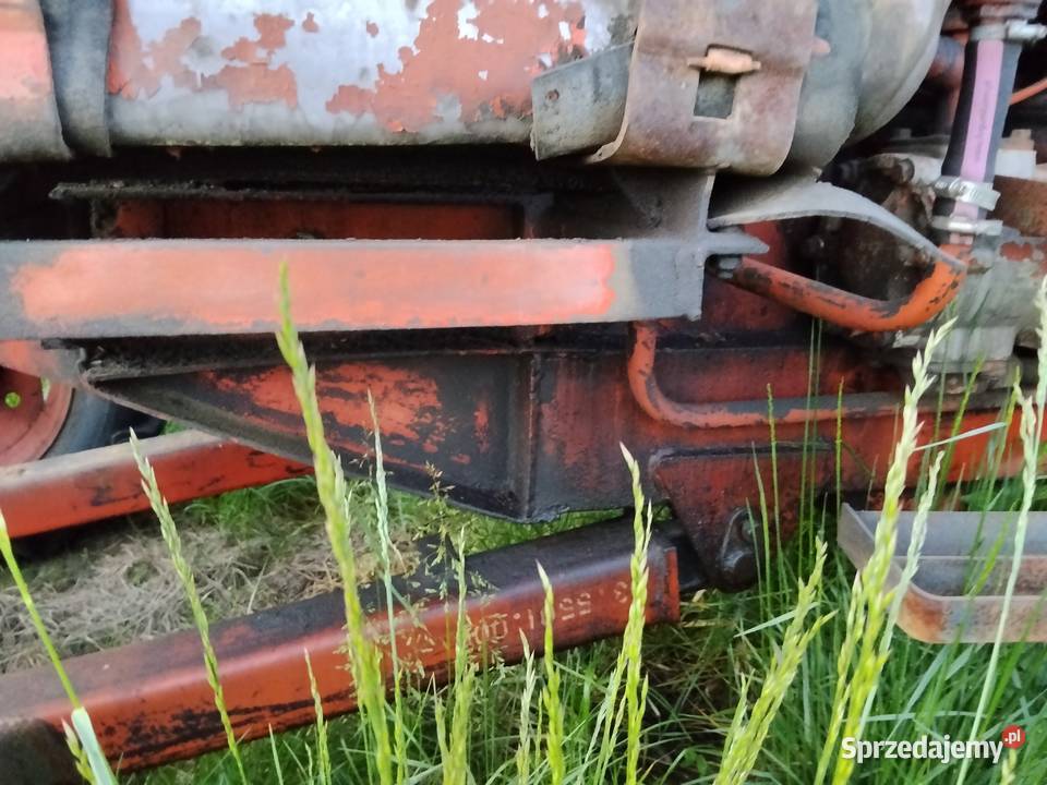 Koparko spycharka białoruśka