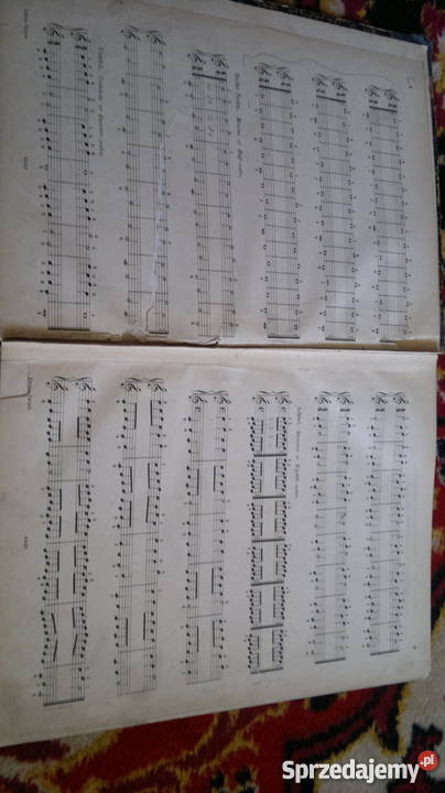 Nuty satre niemieckie Bytom