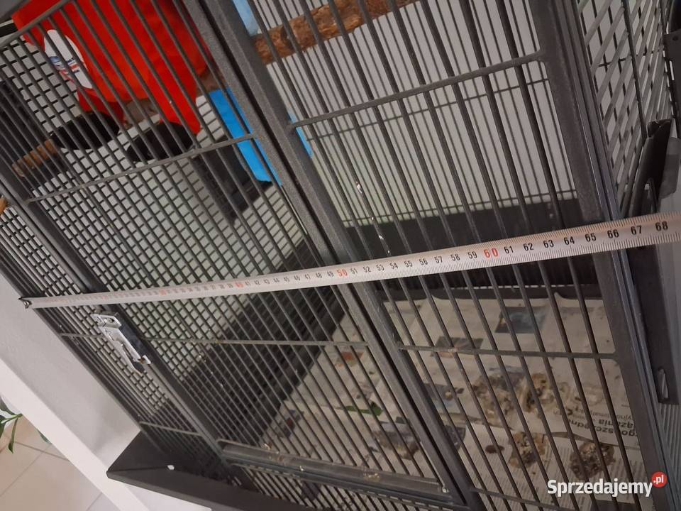 Klatka Monatna Havana Pszczyna sprzedam