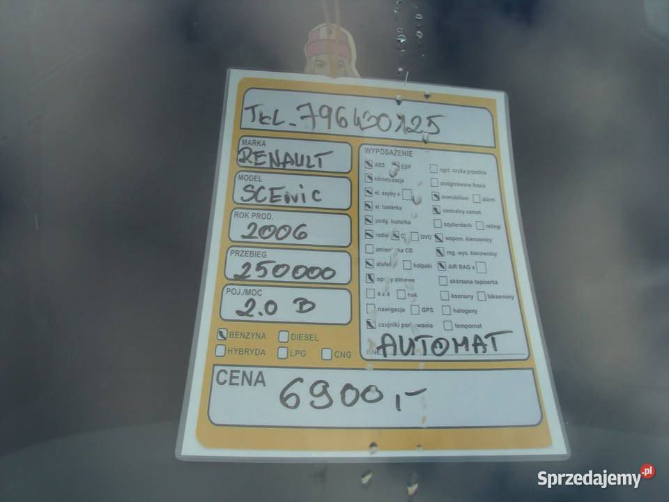 2006 Renault scnic Scenic