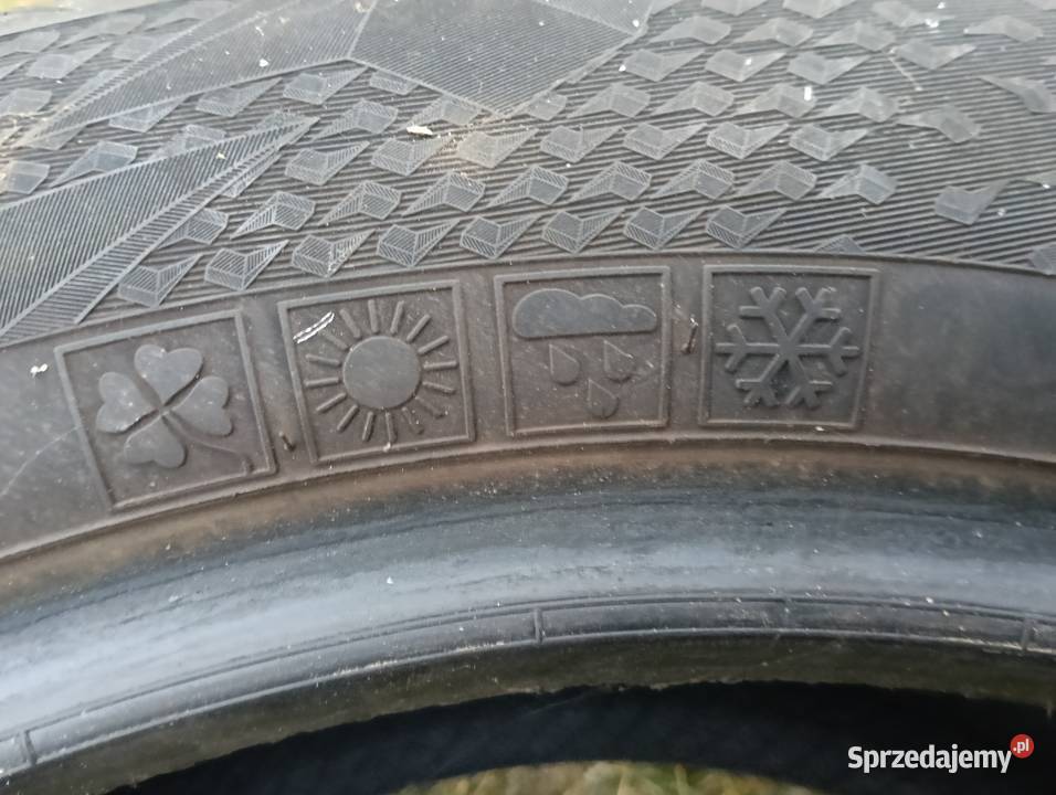 Vredestein 2055516 Nowa Wieś Zbąska