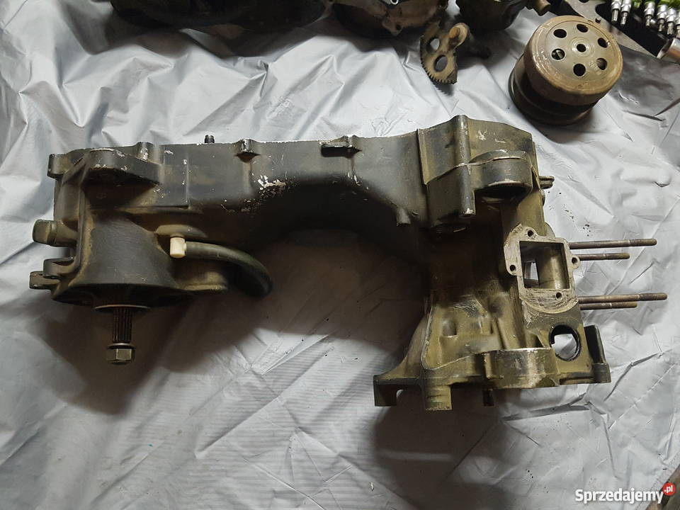 Kartery z wałem i przełożeniami minarelli Aerox