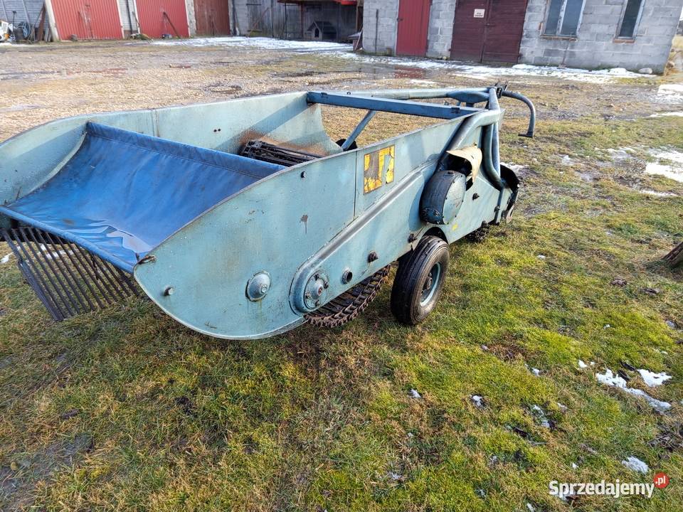 Kopaczka elewatorowa do ziemniaków chrzan cebula