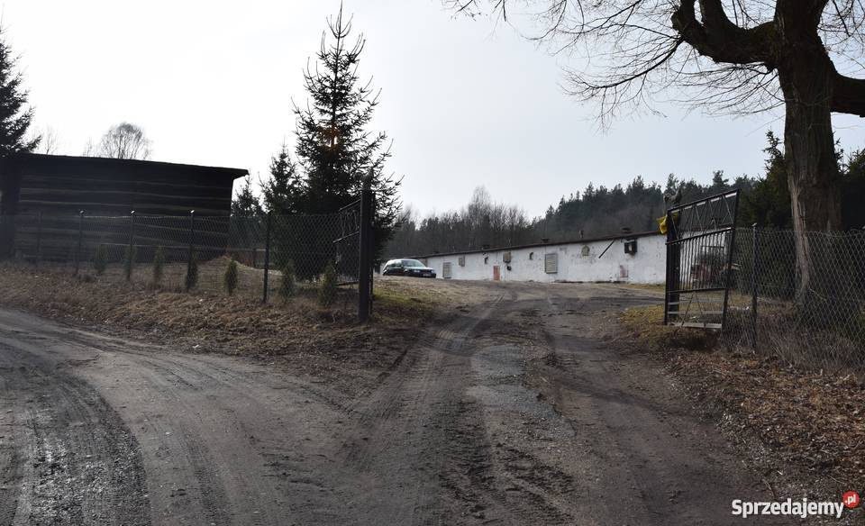 Ferma Drobiu hale produkcyjno przemysłowe pomorskie Miastko