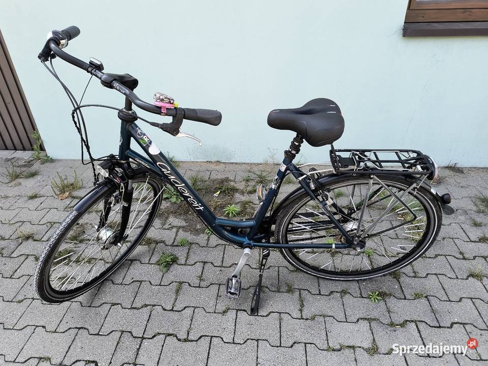 Sprzedam wielkopolskie