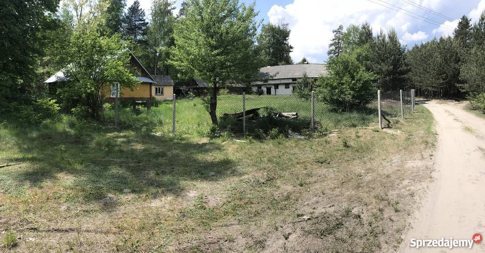Siedlisko ma roztoczu lubelskie Czarny Las-Kolonia sprzedam