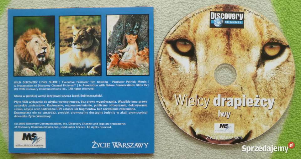 Film VCD Wielcy drapieżcy Lwy Filmy Warszawa